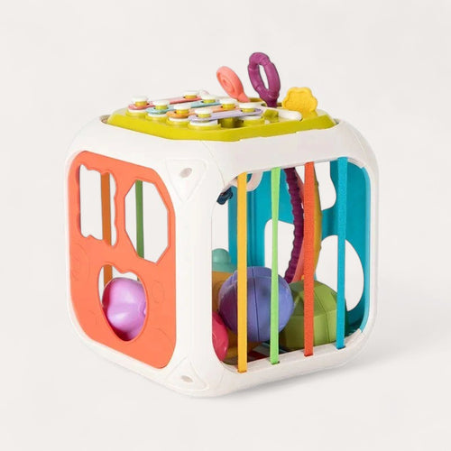 Montessori Growing Activity Cube
