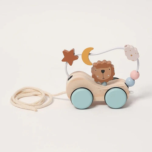 Montessori Lion Roller