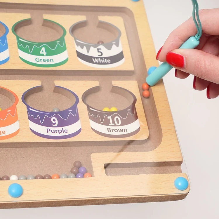 Montessori Magnetic Color Sorting Puzzle L'atelier Montessori