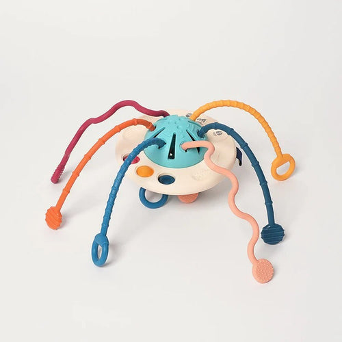 Montessori Silicone Sensory Toy