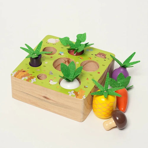 Montessori Vegetable Set